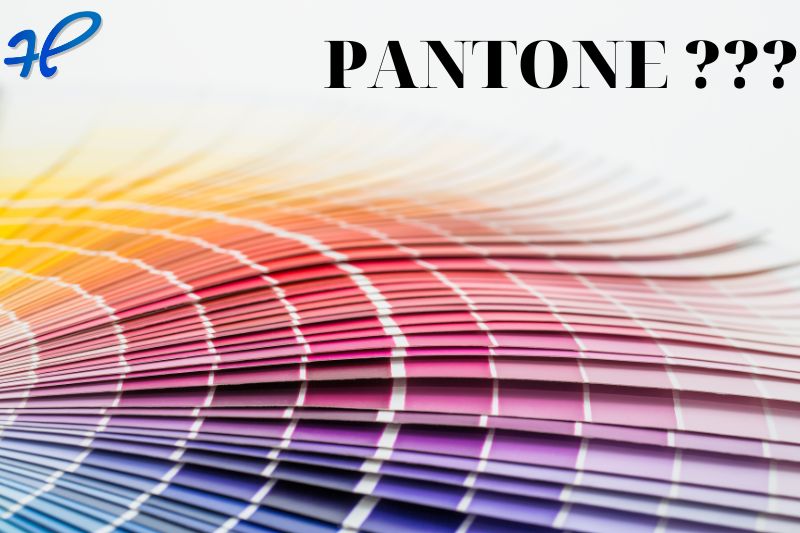 Tên các màu sắc trong bảng màu Pantone là gì?