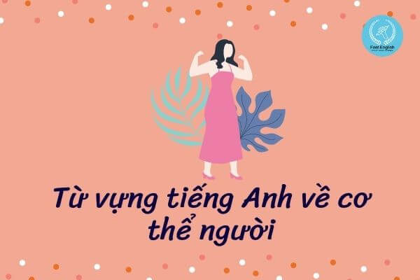 tu-vung-tieng-anh-ve-co-the-nguoi