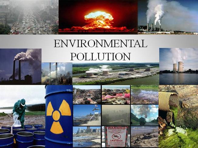 Tổng hợp 10 mẫu environmental pollution essay hay nhất